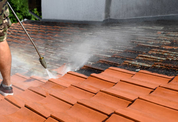 Best Garage Pressure Washing  in Arcadia, WI