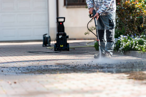Best Deck Cleaning Services  in Arcadia, WI
