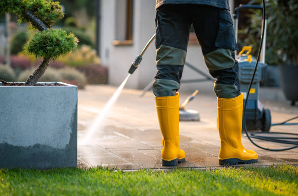 Best Pressure Washing Company Near Me  in Arcadia, WI
